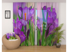 00271 �������.jpg