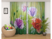 00413  ����� �� ������.jpg