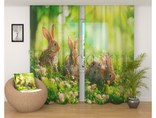 01572 ������� �� �������.jpg