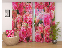 01834 ������� ����.jpg