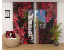 01873 ����� ����.jpg