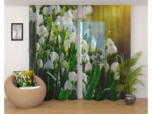 02119 �������.jpg