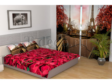 02028-01962 ���� � ������-������� ������.jpg