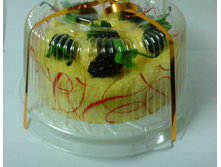 TE-1 ���� ������� � �������� ����� ���� � ������������.jpg