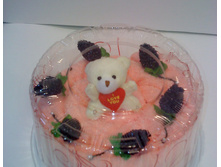 TE-2-M ���������� �� ��������� ������� ������� ����� � ������������.jpg