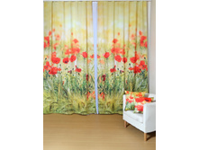 ���� ����.jpg