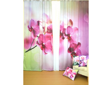 ����� �������.jpg