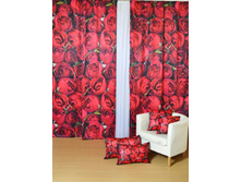 ������� ����.jpg