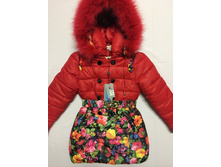 ������ Wewins ���. 8-C5