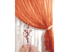 ������� ������� - ����� �� ������� �����