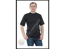 �������� ����������2.jpg