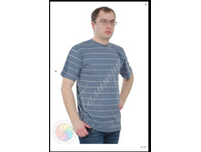 �������� ������3.jpg