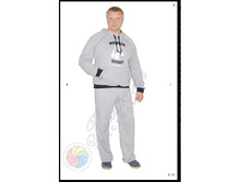 ��������� ����, ��������