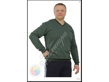 ��������� ������� V-�������� �����1.jpg