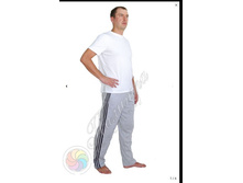 ����� RiCCO.jpg