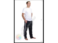 ����� RiCCO1.jpg