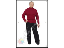 ����� ����(2).jpg