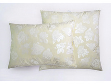 ������� � ��������� �����������