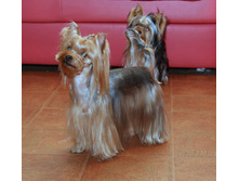 1-IMG_5966.JPG