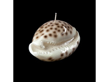 30 ���. ����� ������� ����� 3 (54 311).jpg