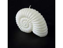 ����� �����. ���� ����������