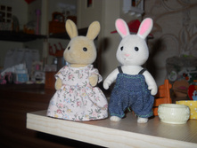 DSCN2413.JPG