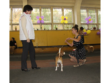 1-IMG_3374.JPG