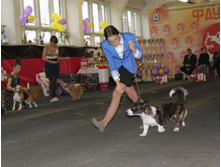 1-IMG_3376.JPG