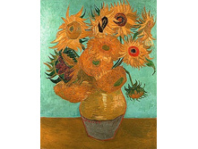 ���������� ��� ���2.jpg