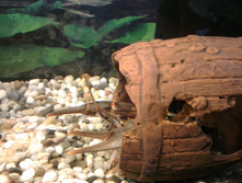 IMAG7262.jpg