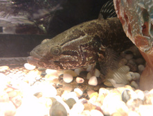 IMAG7264.jpg