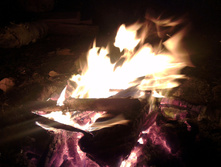 IMAG7343.jpg
