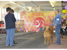 �������� 05.10.14 157.JPG
