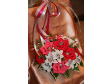 �������� 1200�.jpg