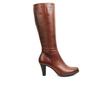 ������ 705 ����������