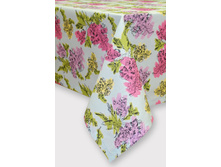 ���� �� �������