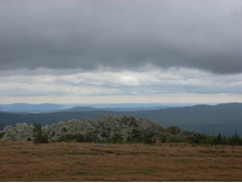 ���� 078.jpg