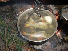 ���� 194.jpg