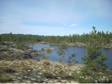 ���� 218.jpg