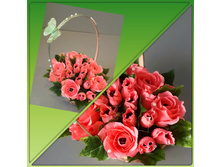 20141007_145436-kdcollage.jpg