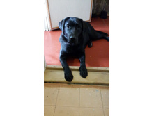 20140927_101735.jpg