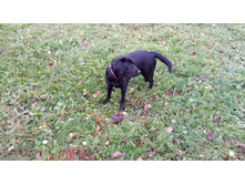 20141005_101110_2.jpg