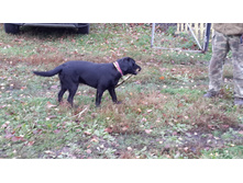 20141005_100754.jpg