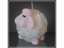 ����� ������ � ����� �������� - 253,75 ���.