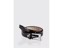 R.24.PL.������  810 ���