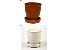 �� ������ ������ �����.jpg