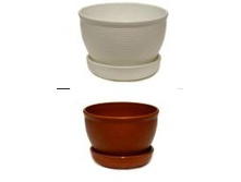 �� ������ ������ ������.jpg