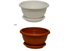 �� ������ ����.jpg