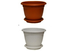 �� ������ ������.jpg