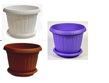 �� ������ �����.jpg